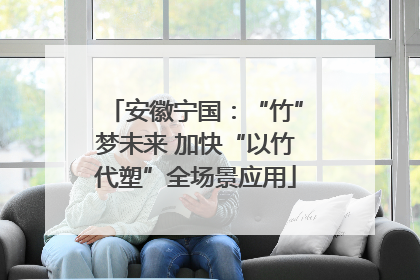 安徽宁国：“竹”梦未来 加快“以竹代塑”全场景应用